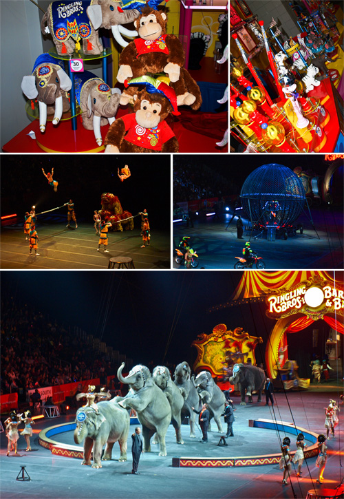 5 Pic Circus Storyboard