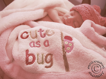 Cute as a Bug