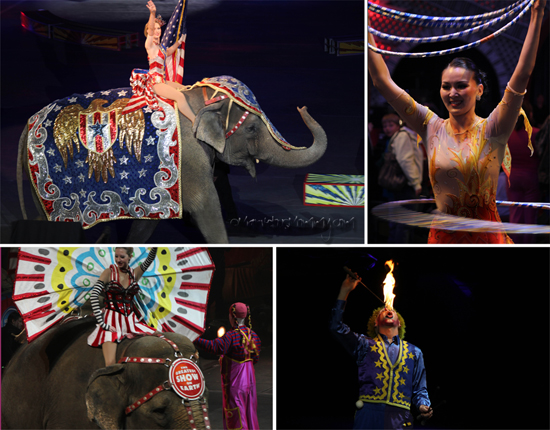 Circus_Collage