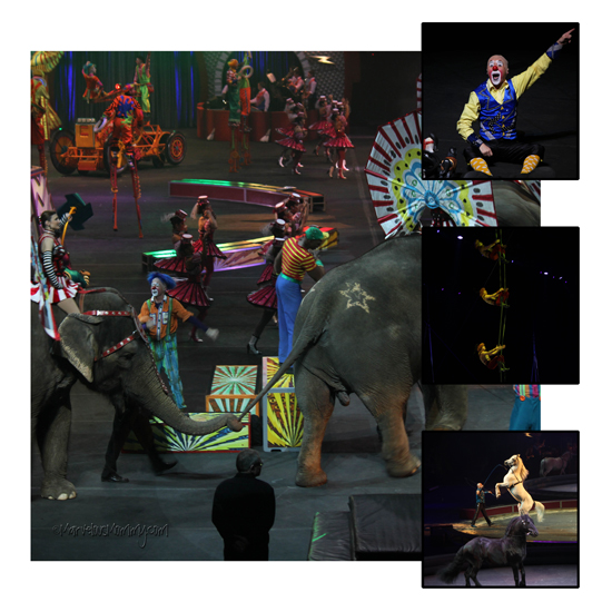 Circus_Collage_2