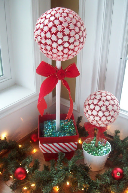peppermint trees