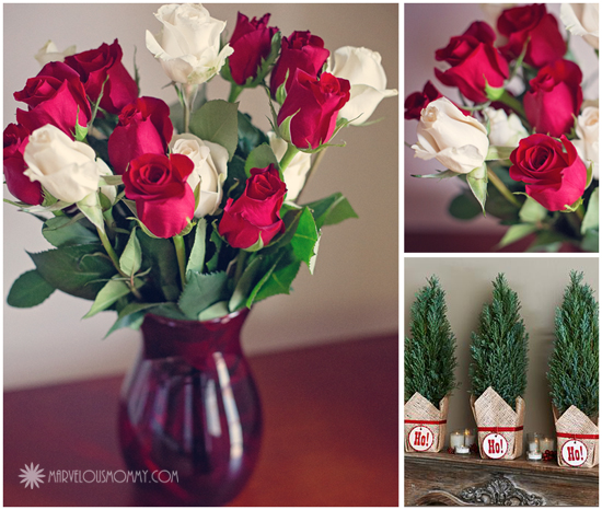ProFlowers Candy Cane Roses