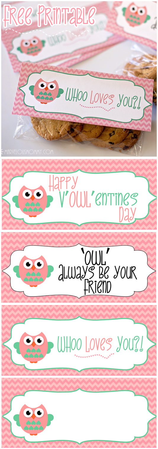 printable valentine owl wrapso cute!  Valentines gift wrap, Owl  valentines, Owl gifts