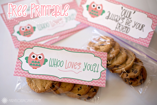 Owl Valentines Tag Free Printables