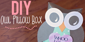 DIY Owl Pillow Boxes Tutorial