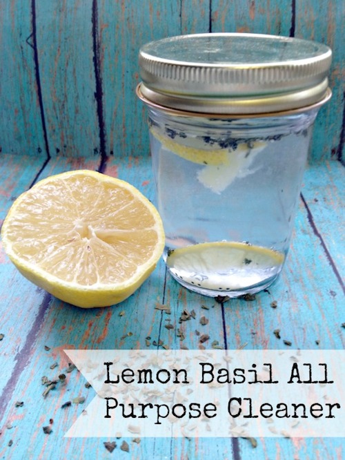 Cleaning-Green-DIY-All-Purpose-Cleaner-Lemon-Basil-Scent