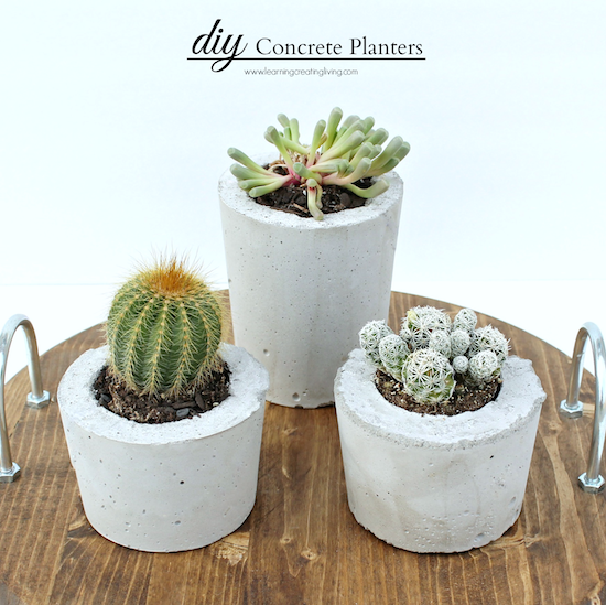 diy concrete planters