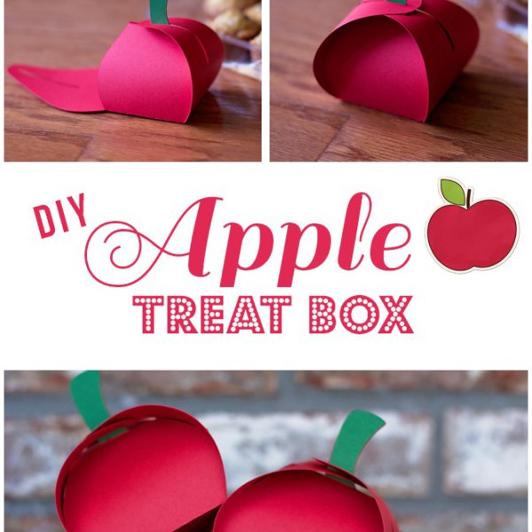 Apple-Treat-Box-DIY