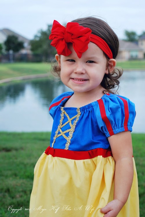 Snow White Princess costume