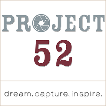 project52button 350px