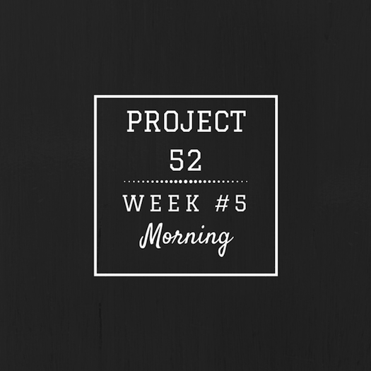 Project52week5