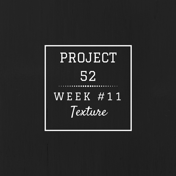 Project52week11