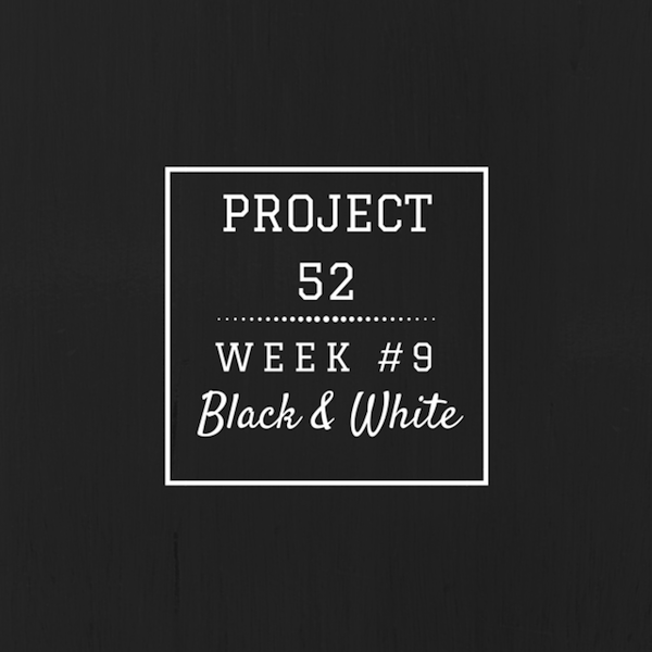 Project52week9