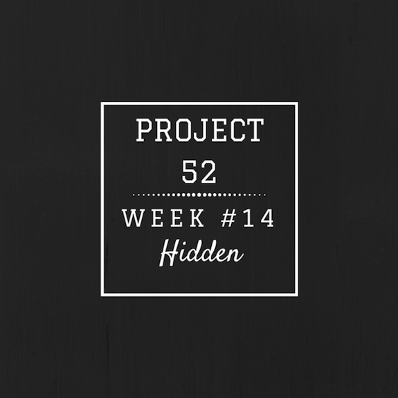Project52week14