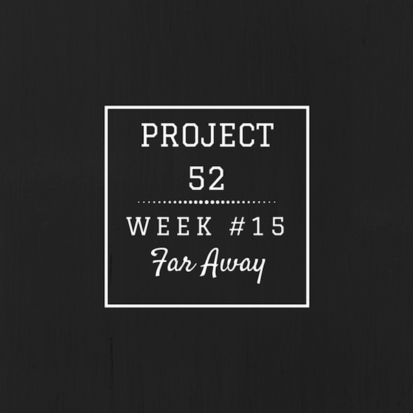 Project52week15