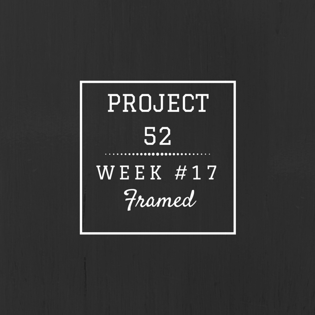 Project52week17