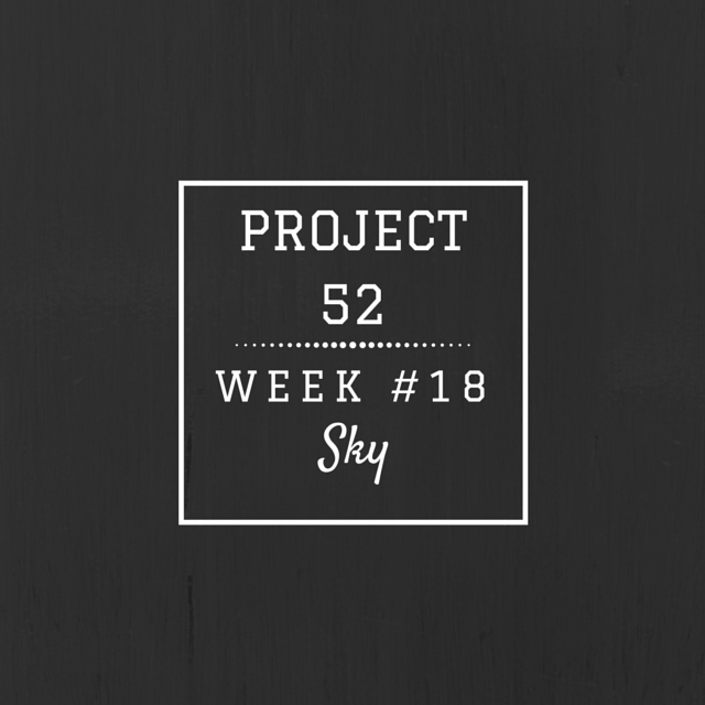 Project52week18