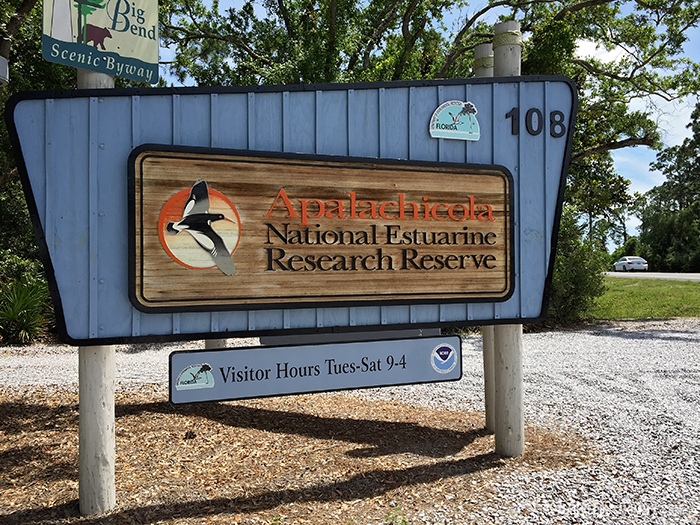 Apalachicola Research Reserve