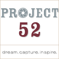 Project 52 Button _ 200px