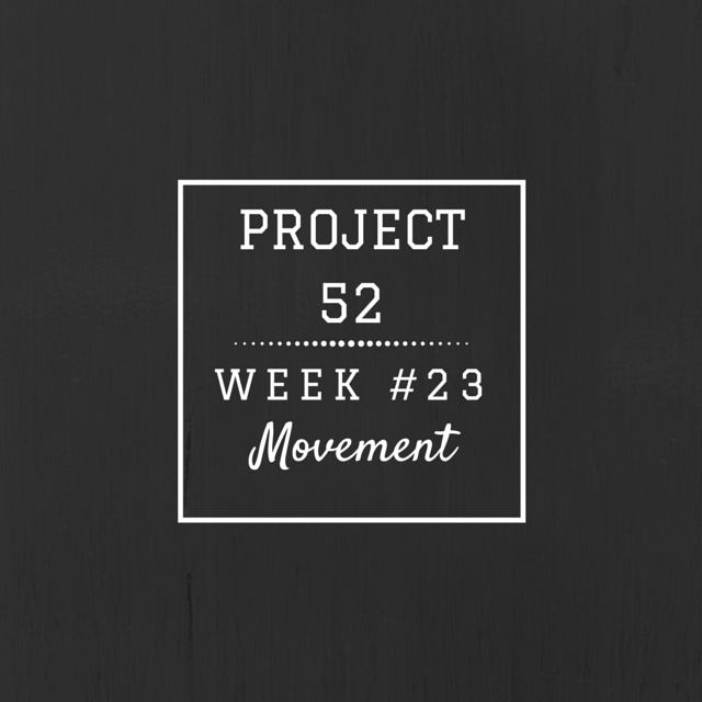 Project52week23