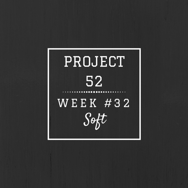 Project52week32