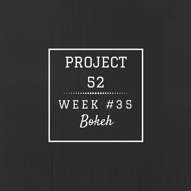 Project52week35