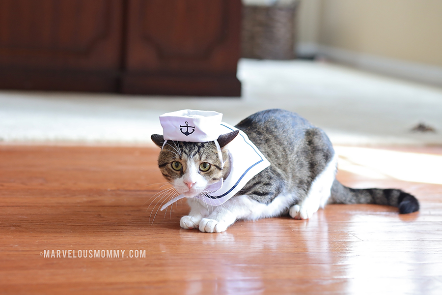 Kitty Cat Sailor Costume 