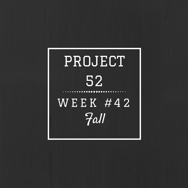 Project52week42