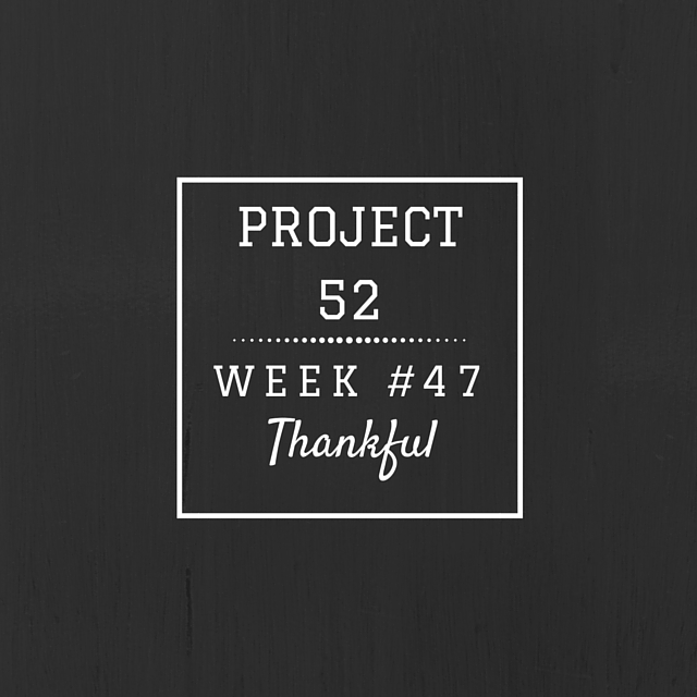 Project52week47