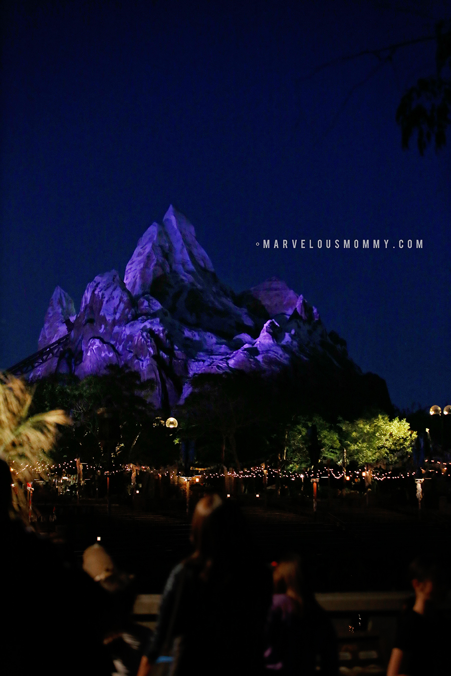 Disney World-4549-Edit_BLOG