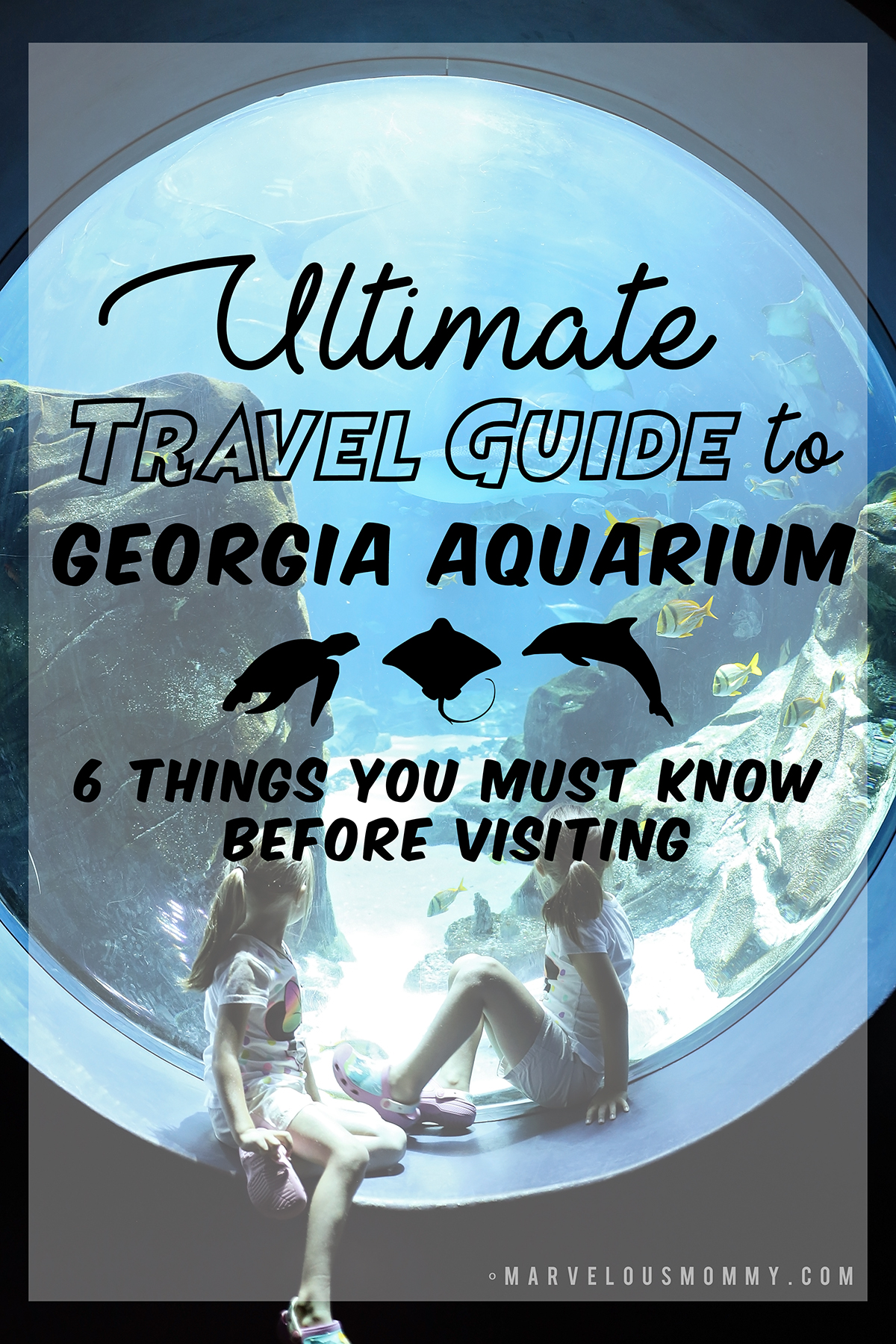 Ultimate Travel Guide to Georgia Aquarium for an Epic Spring Break