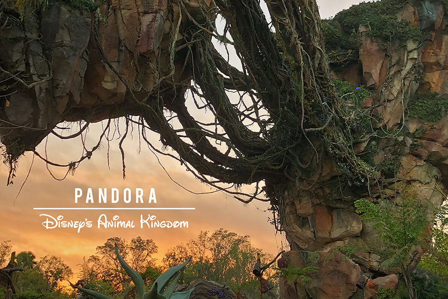 Pandora at Sunrise