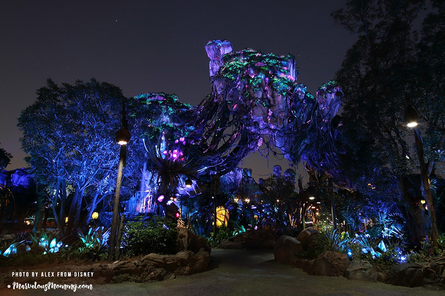 Disney's Pandora at Night