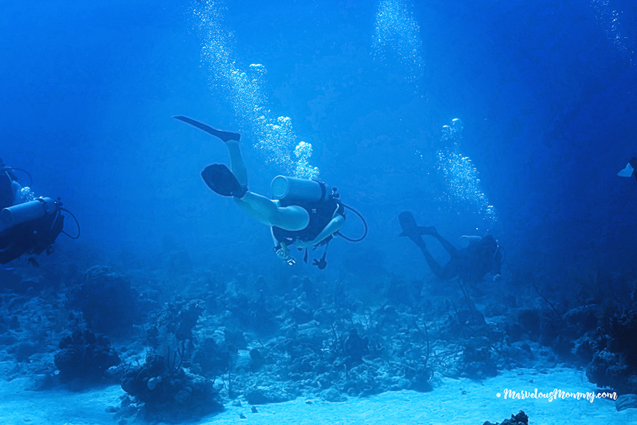 Scuba diving in Turks and Caicos